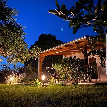 Holiday House Lucia Sukošan Exterior foto