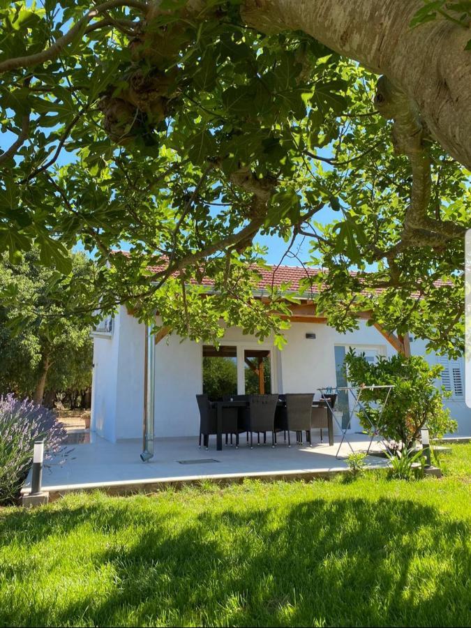 Holiday House Lucia Sukošan Exterior foto